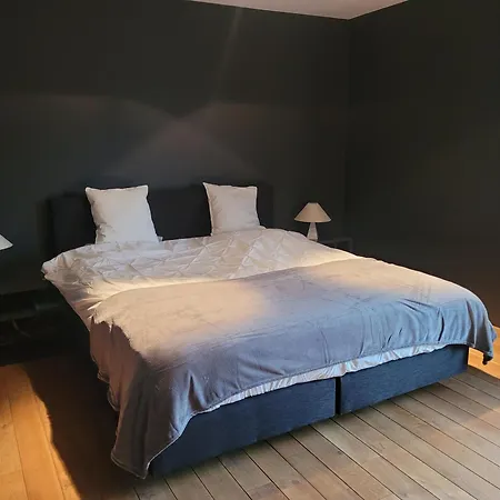 Les Roses De Francois