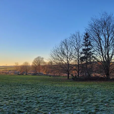 Les Roses De Francois *